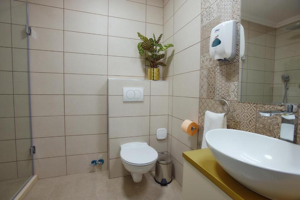 Hotel Imperium Botiz ภายนอก รูปภาพ